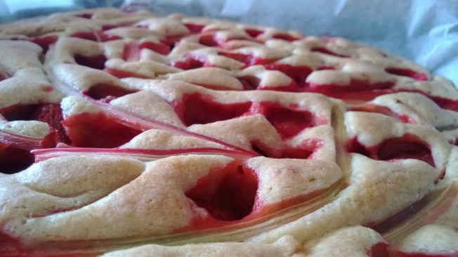 långpannekaka med jordgubbar och rabarber